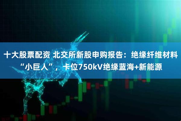 十大股票配资 北交所新股申购报告：绝缘纤维材料“小巨人”，卡位750kV绝缘蓝海+新能源